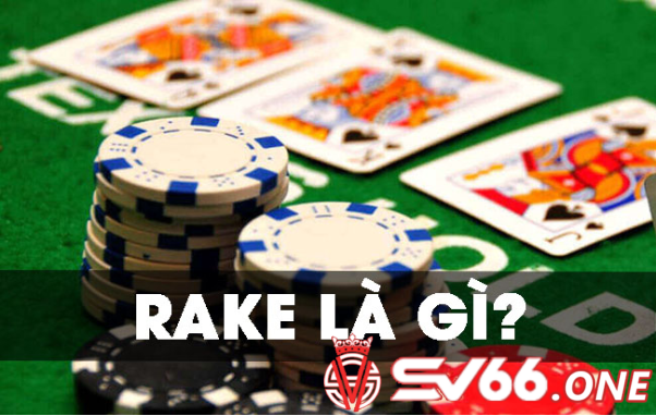 Rake là gì trong poker?